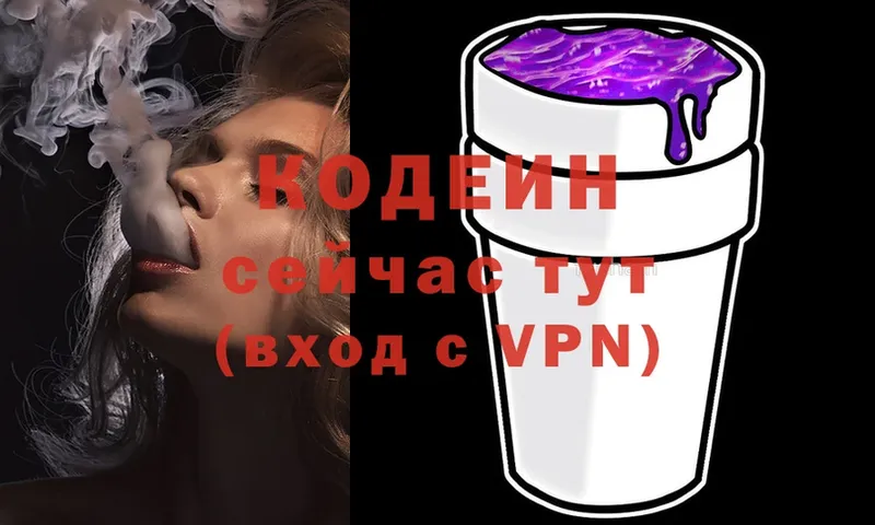 блэк спрут ССЫЛКА  что такое наркотик  Карпинск  Кодеиновый сироп Lean Purple Drank 