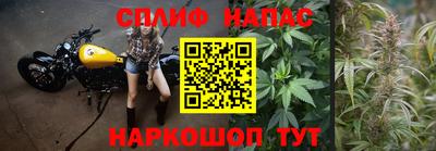 стафф Гусев