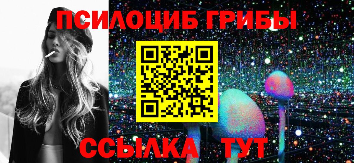 Псилоцибиновые грибы Psilocybine cubensis Карпинск